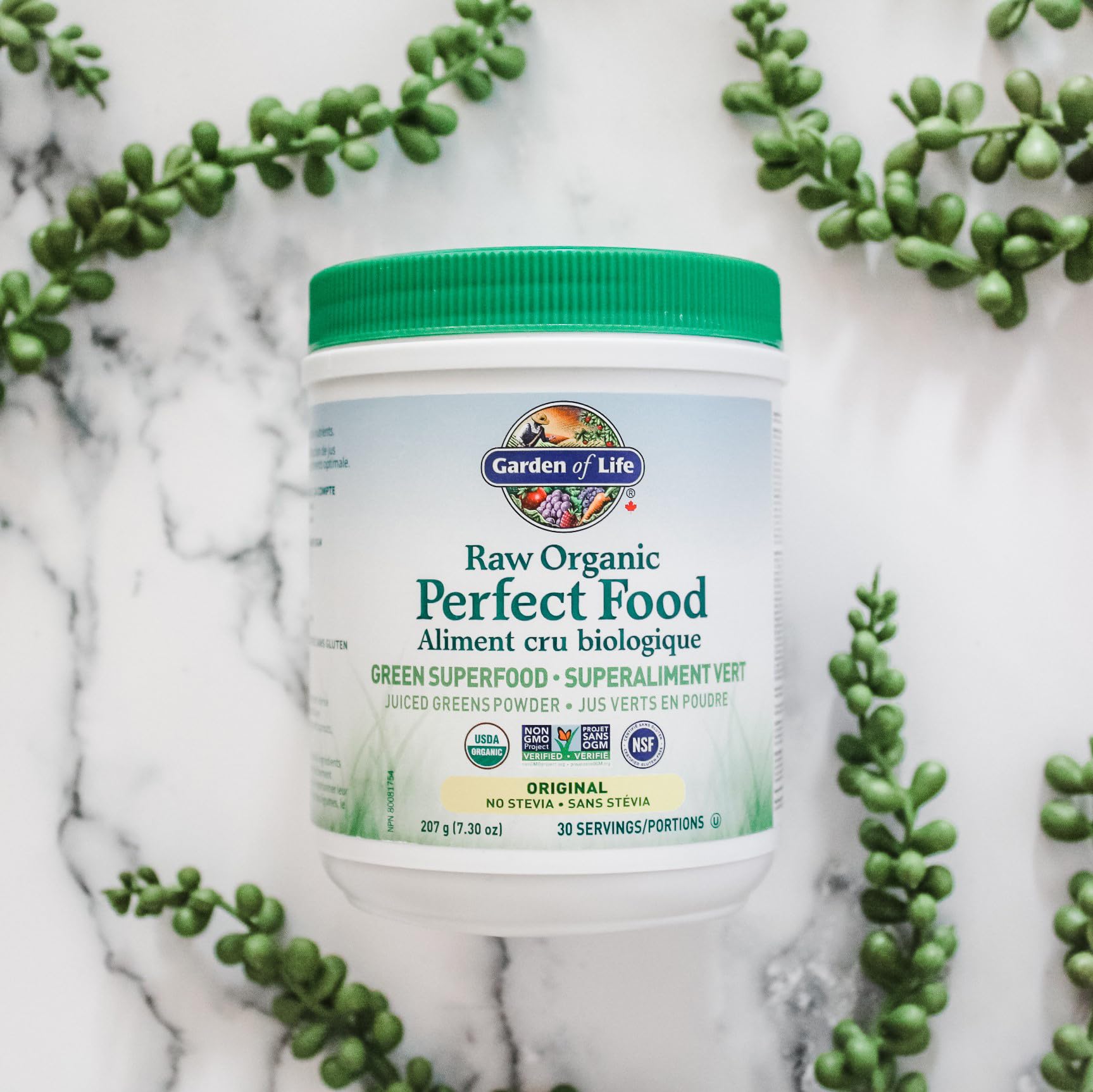 Garden of Life Perfect Food Orgánico y Crudo - Mezcla de Superalimentos Verdes para Salud Óptima - 207 g