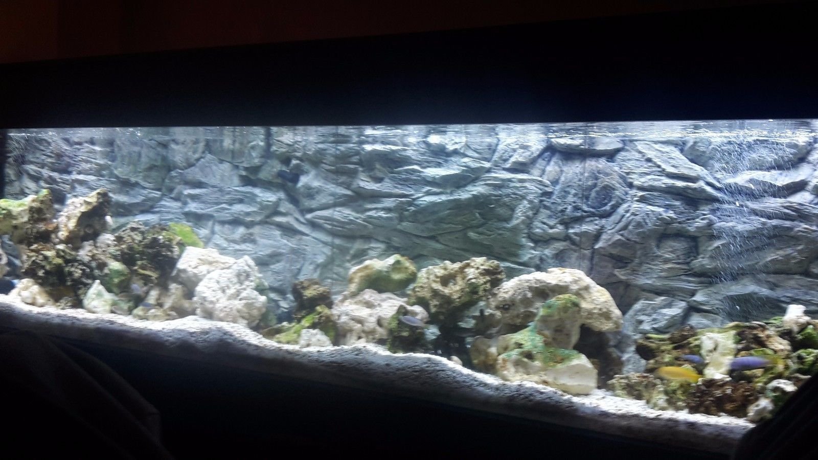 View 5