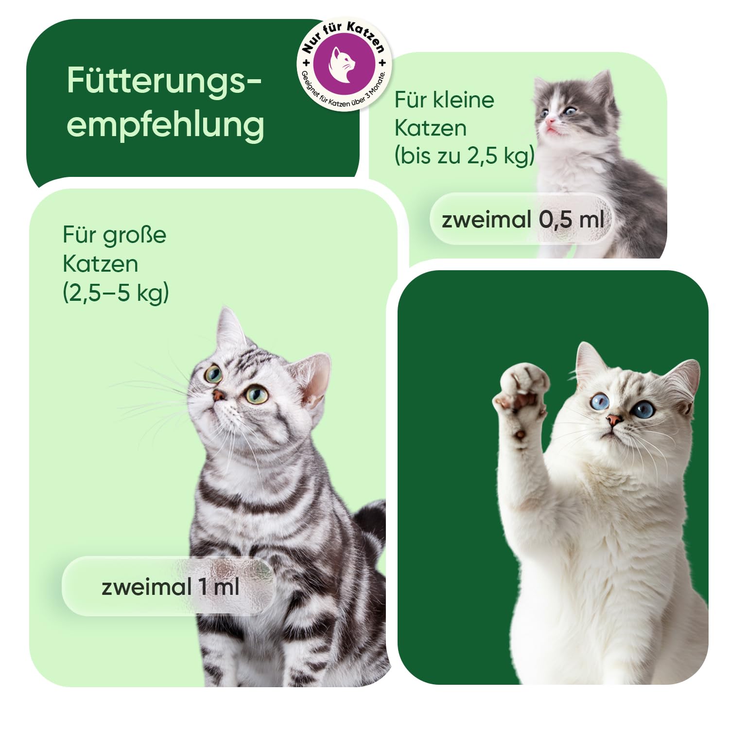 animigo Beruhigungsmittel für Katzen - 100 ml Entspannung Tropfen mit Zink, L-Tryptophan, Vitamin B3, B6, D3 & E - Bei Feuerwerk, Gewitter, Angst, Nervosität