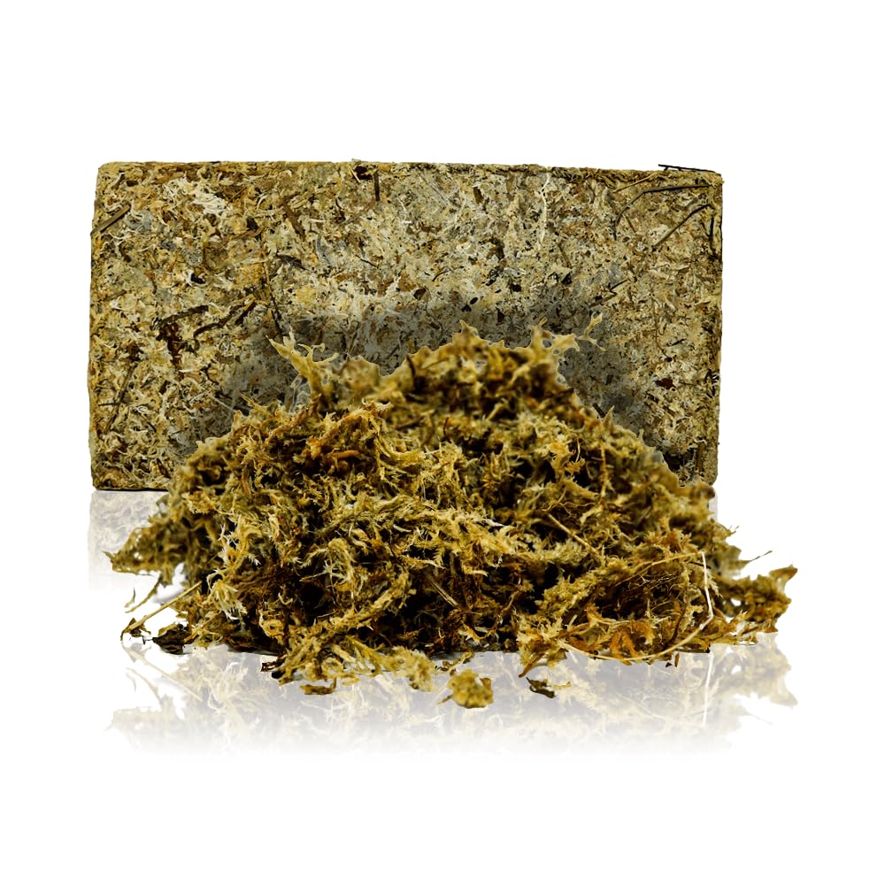 Swell Reptiles Terrarium Moss Substrate (Natural)