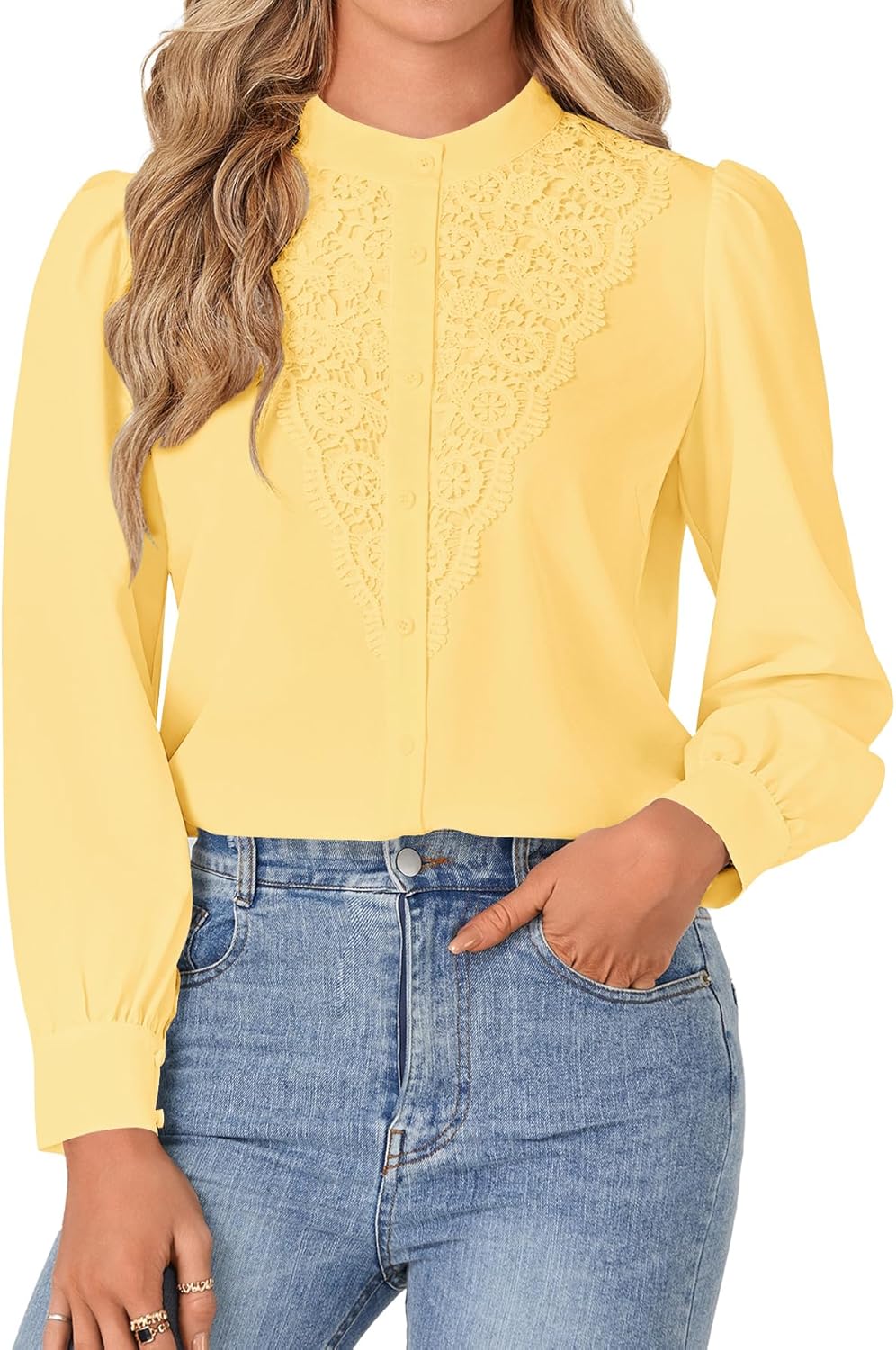 Rooscier Women's Lace Mock Long Sleeve Button Down Elegant Blouse Shirt Top Fall Clothes