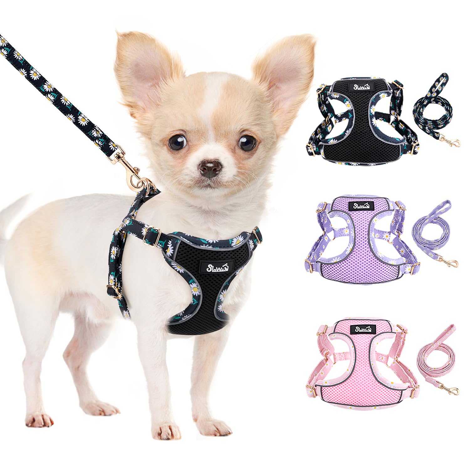 Eyein Hundegeschirr Kleine Hunde mit Leine, Atmungsaktiv Air Mesh Brustgeschirrmit reflektierenden Streifen, Verstellbarer Step-in Geschirr für extra kleine/kleine mittelgroße Hunde (Schwarz, XXS)