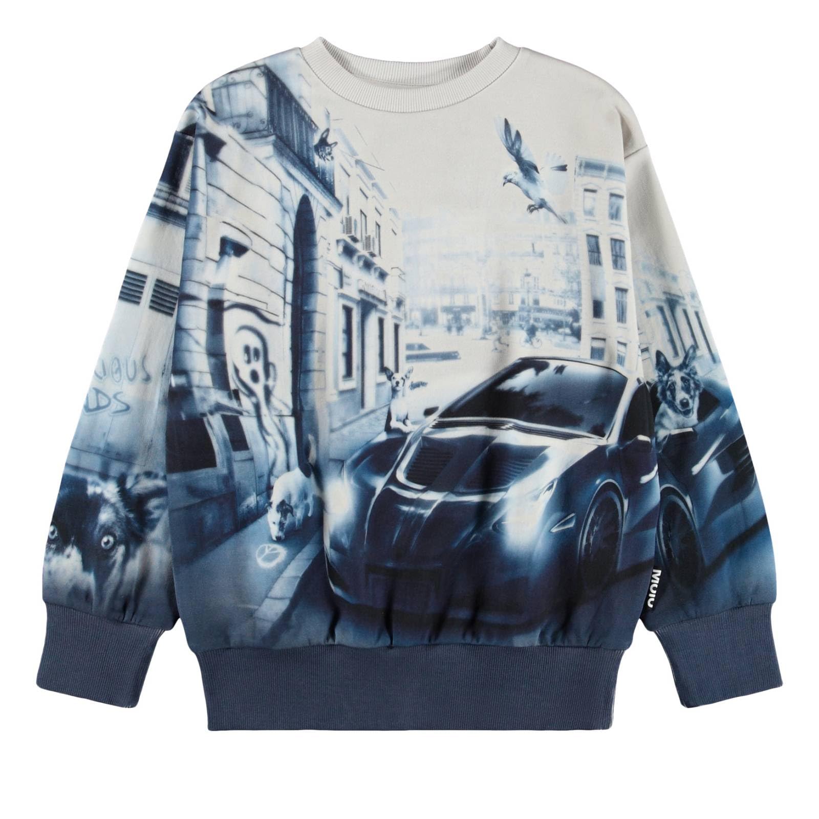 Molo Jungen Sweatshirt Mattis CurioCity GOTS
