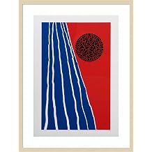 Amanti Art Framed Wall Art Print 33x25 Orbis Factor by Alex Dunn, Abstract Wall Art, Modern Contemporary Decor, Large Poster Painting Artwork for Living Room, Bedroom, Bathroom, Kitchen, Office or