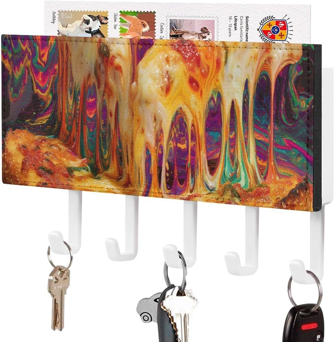 Psychedelic Pizza Trippy Cheese Wall Mounted Mail Key Holder 5 Hooks Organizer Shelf for Entryway Mudroom Hallway Kitchen