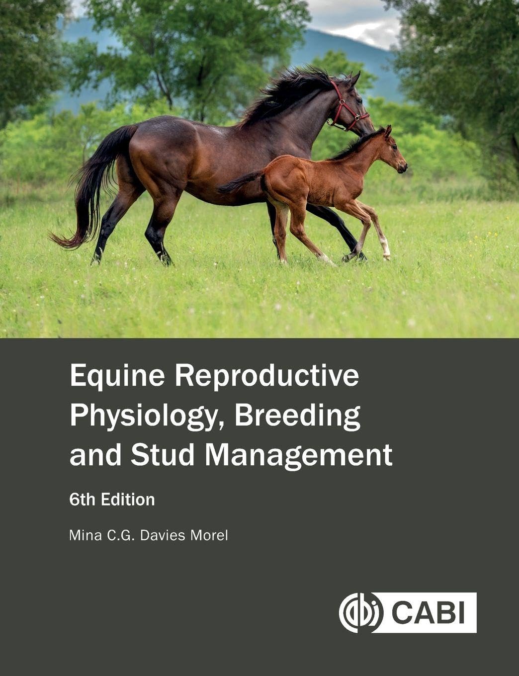Equine Reproductive Physiology Breeding