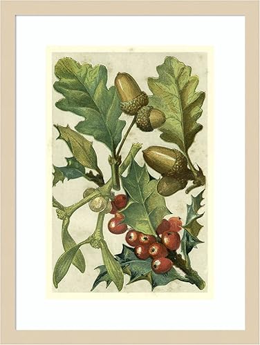 Miniatura 18 de Amanti Art Lienzo decorativo para pared enmarcado de 44 x 32 pulgadas, frutas y follaje II por Vision Studio, arte de pared de naturaleza, Búho