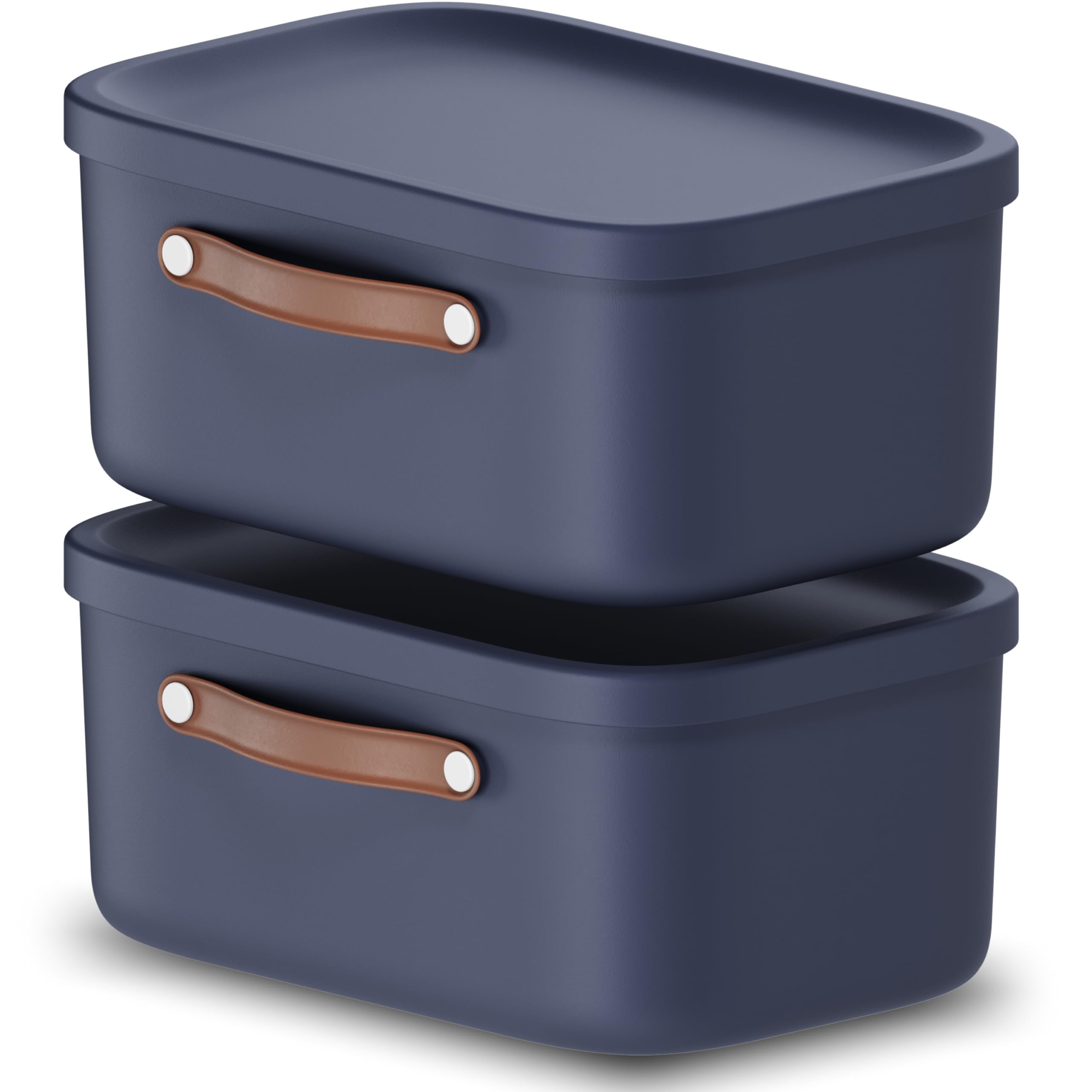 Rotho Maloja Storage Box โ image 1