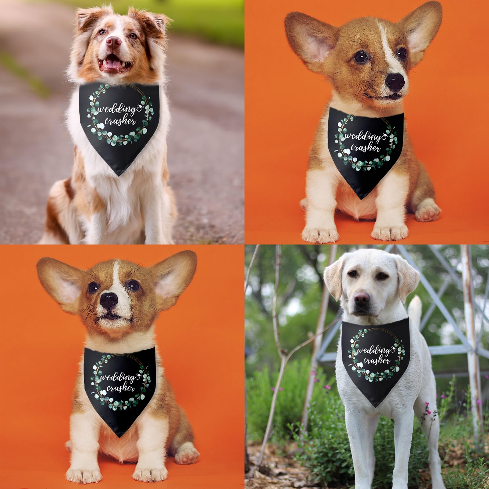 Hochzeit Hund Bandana – „Beste Freund Der Braut“, Baumwolle, Für Kleine & Mittlere Hunde