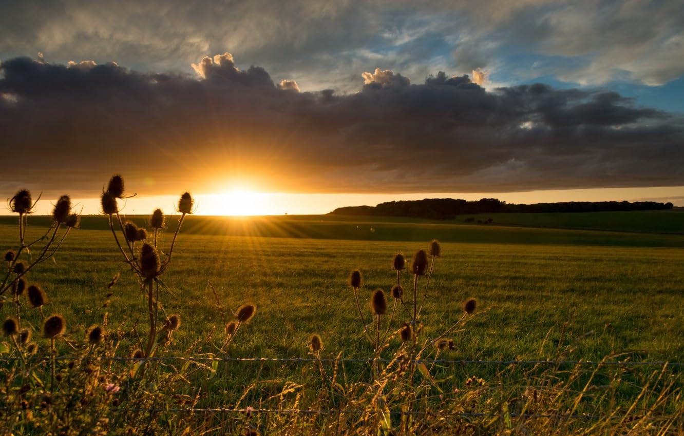 Jigsaw Puzzles for Adults, 2000 Piece, Field, Landscape 70x100CM — image 1