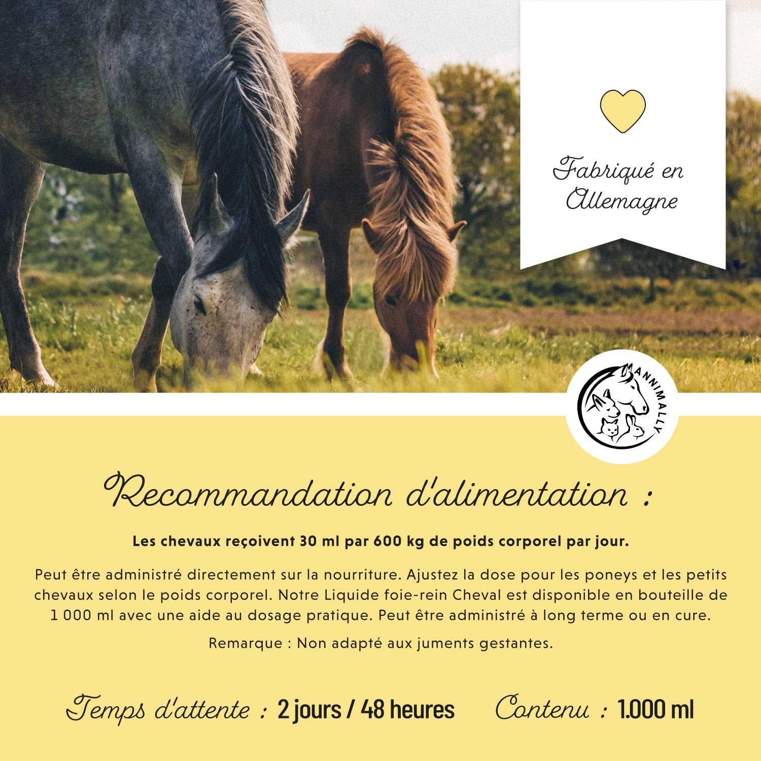 Liquide Foie-Rein pour Chevaux - Jus d'herbes de 1000 ML avec Chardon-Marie et artichaut pour Le Foie - Jus pour Les Reins pour Un métabolisme sain chez Le Cheval