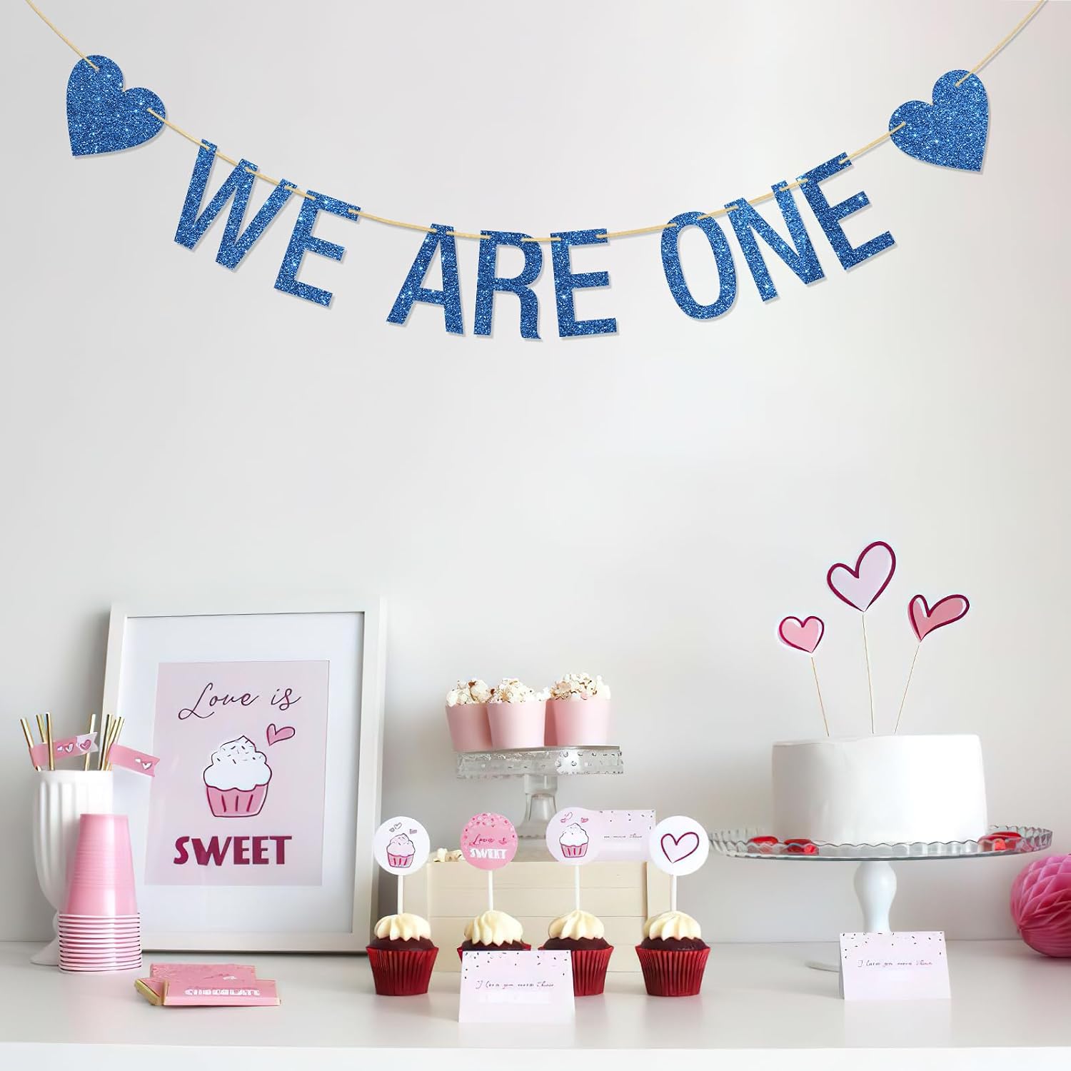 We are One Banner Twins 1st Birthday Party Decor Twin Boys Birthday Banner Hanging Supplies Blue Glitter