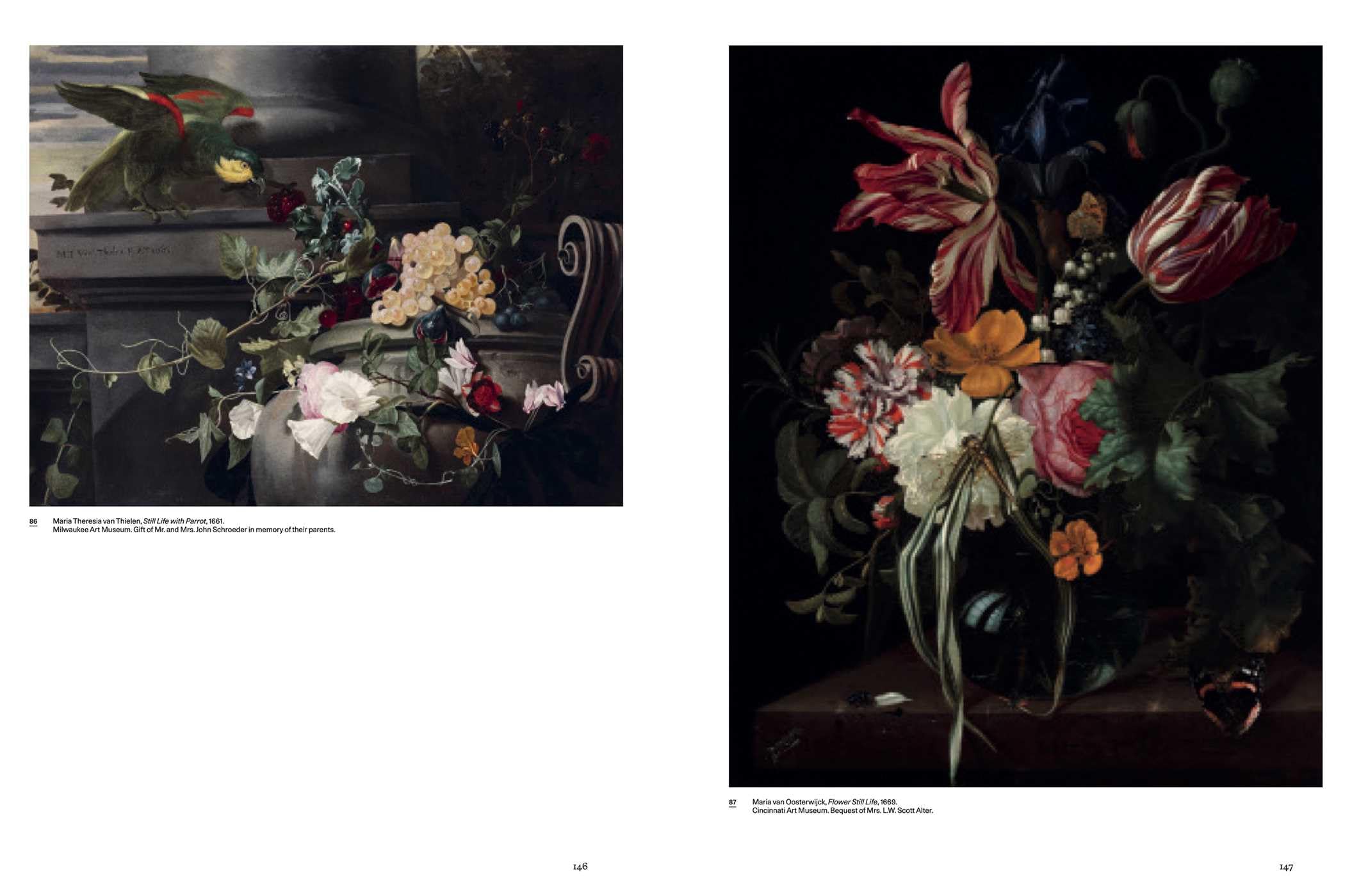 UNFORGETTABLE: Women Artists from Antwerp to Amsterdam, 1600-1750 (ART)