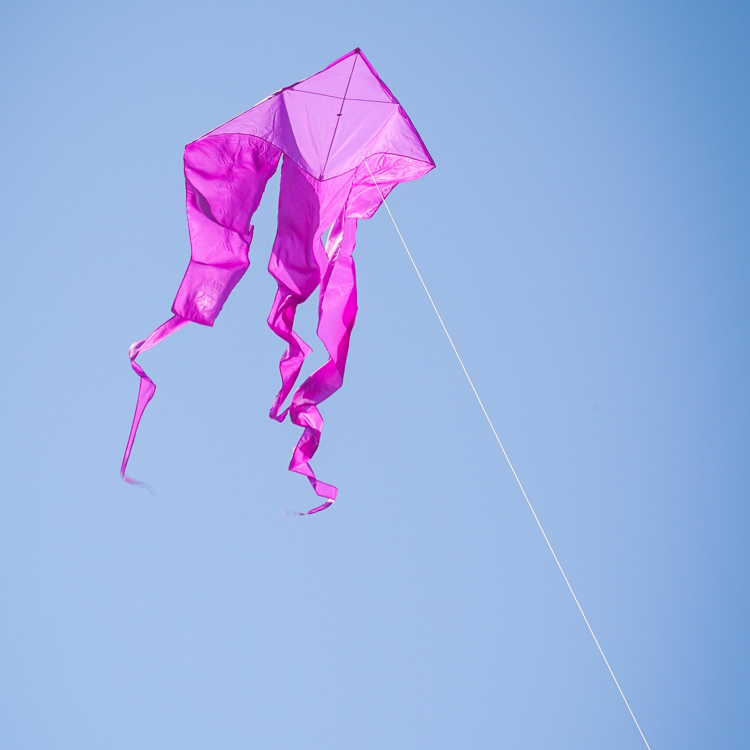 In the Breeze 3358 — Purple 52-inch Wave Delta Kite — Large Solid Color Easy-Flying Kite with Long Flowing Taffeta Tails