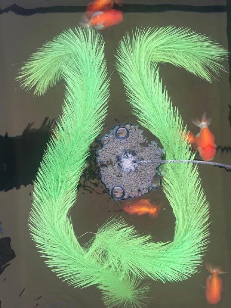 Koi Fish Pond Aquarium Spawn Breeder Fry Catch Net Box Rope