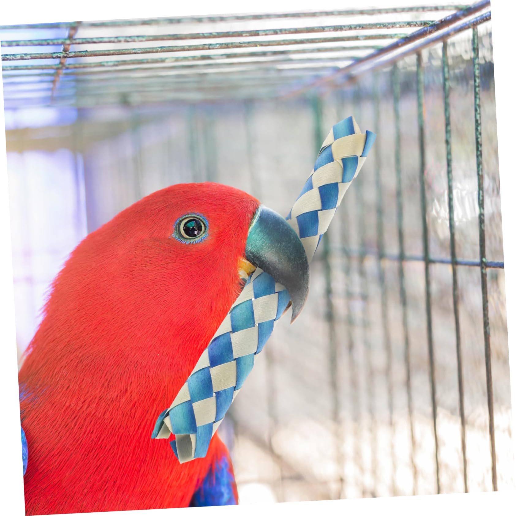 24pièces Jouets Tressé pour Oiseaux Remplissage De Et Anniversaire Jouets à Mâcher pour Perroquets Aléatoires