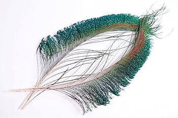 Amazon.co.jp: ピーコック・スウォード 4本 [022-Fe-N] 孔雀