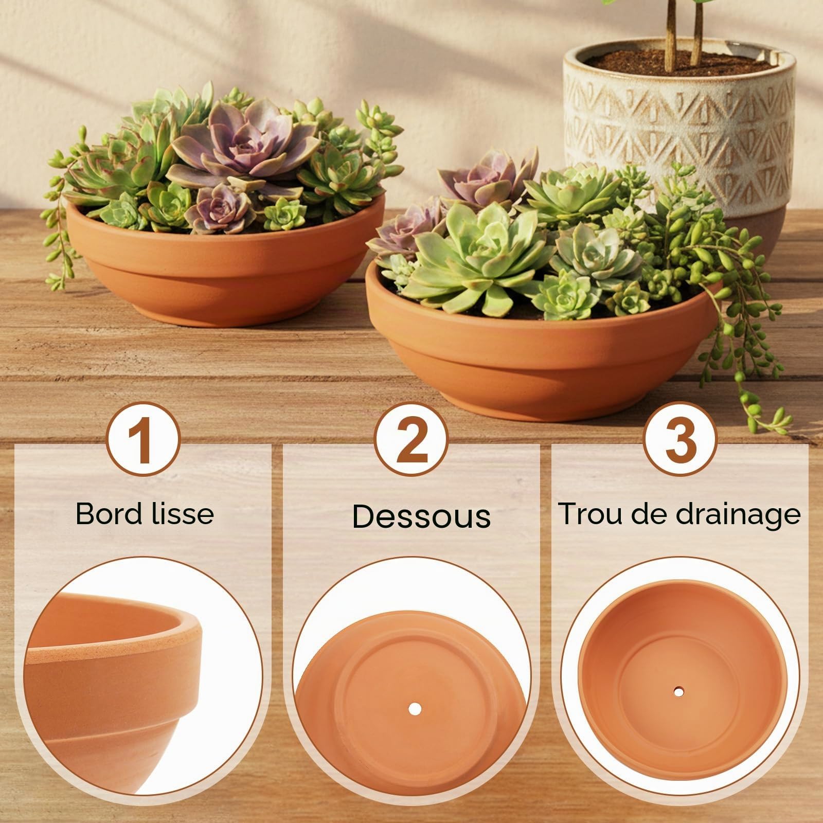 Laergin Lot de 6 Pots en Terre Cuite Peu Profonds en Terre Cuite avec Trou de Drainage en Terre Cuite avec Trou de Drainage, Pots de Fleurs en céramique pour Plantes d'intérieur/extérieur 16 cm