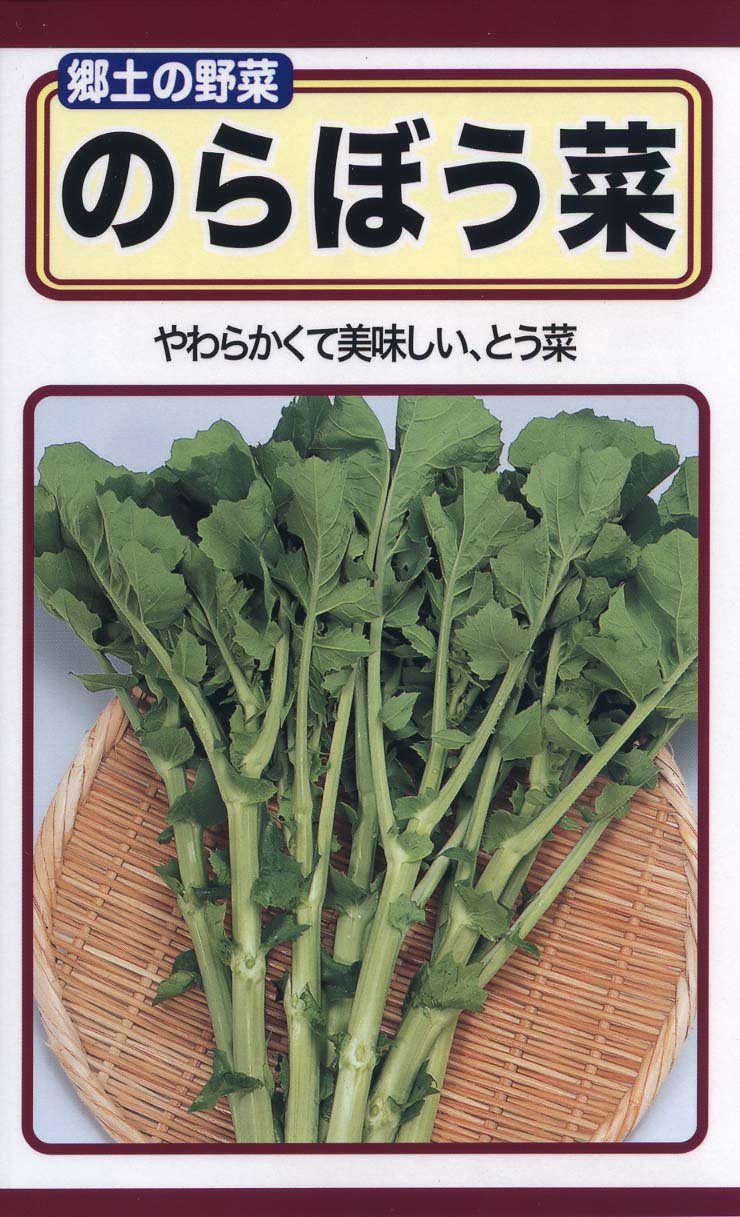 専用　のらぼう菜　農薬不使用　ネコポス Amazon | トーホク のらぼう菜 | 野菜