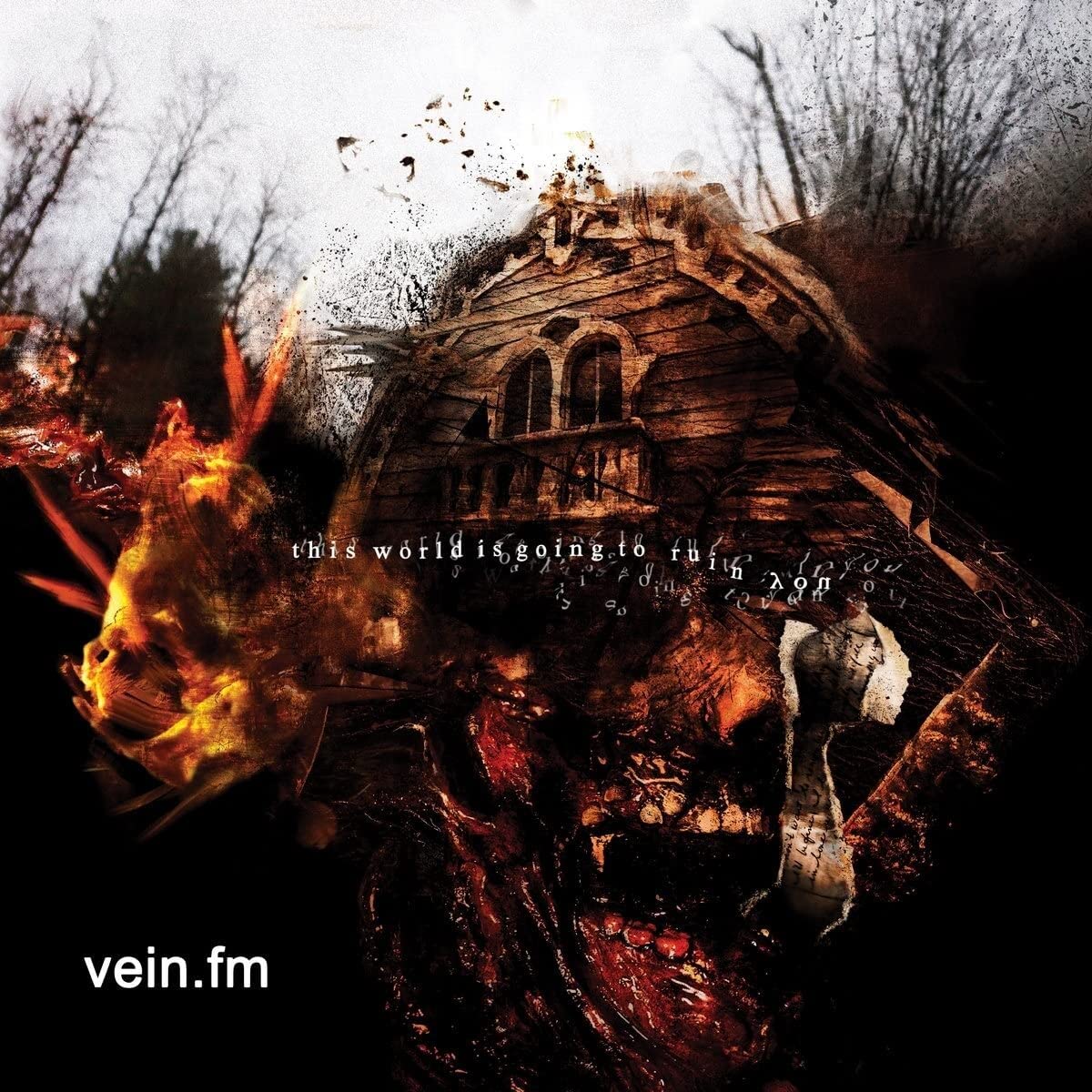 This World Is Going To Ruin [VINYL]