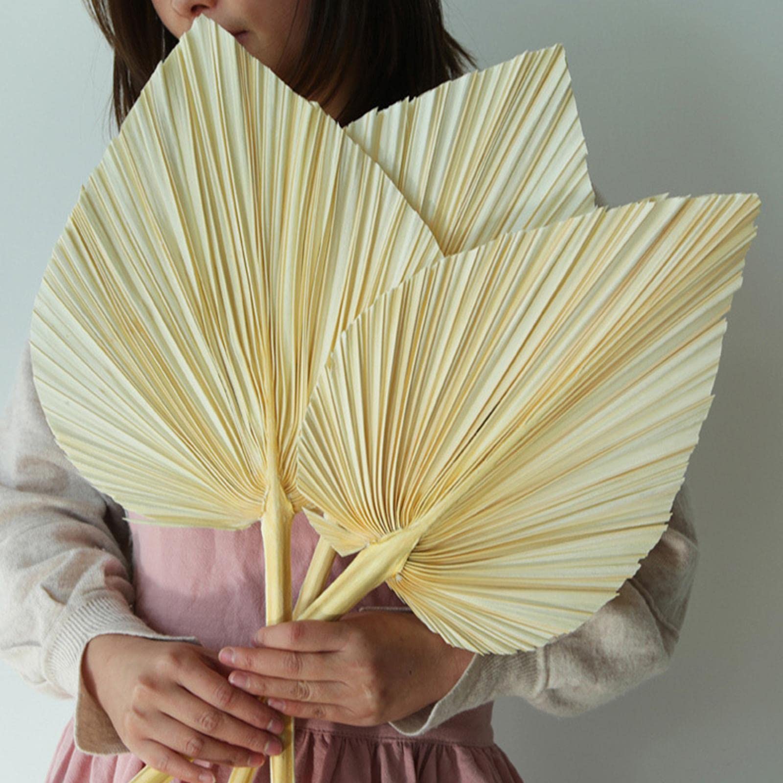 Ventagli In Foglia Di Palma Naturali - Pack Da 5 Pezzi, 29x30 Cm, Per Matrimoni E Feste - Foto 10