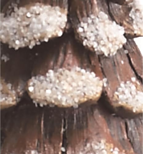 Miniatura 2 de Transpac X9186 Res - Árbol de nieve de piña, grande, 11 pulgadas de altura