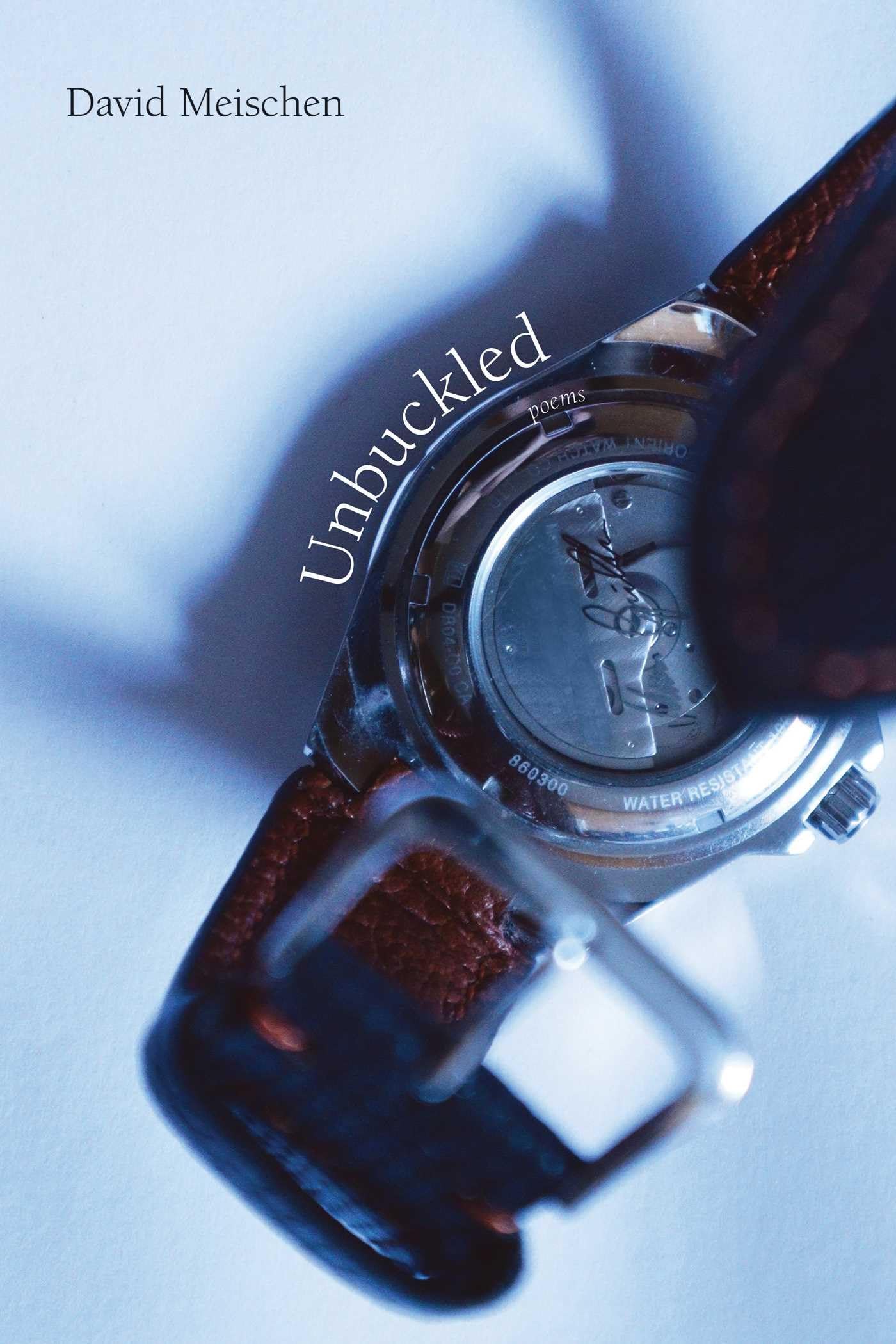 Unbuckled: Poems (Mary Burritt Christiansen Poetry Series)