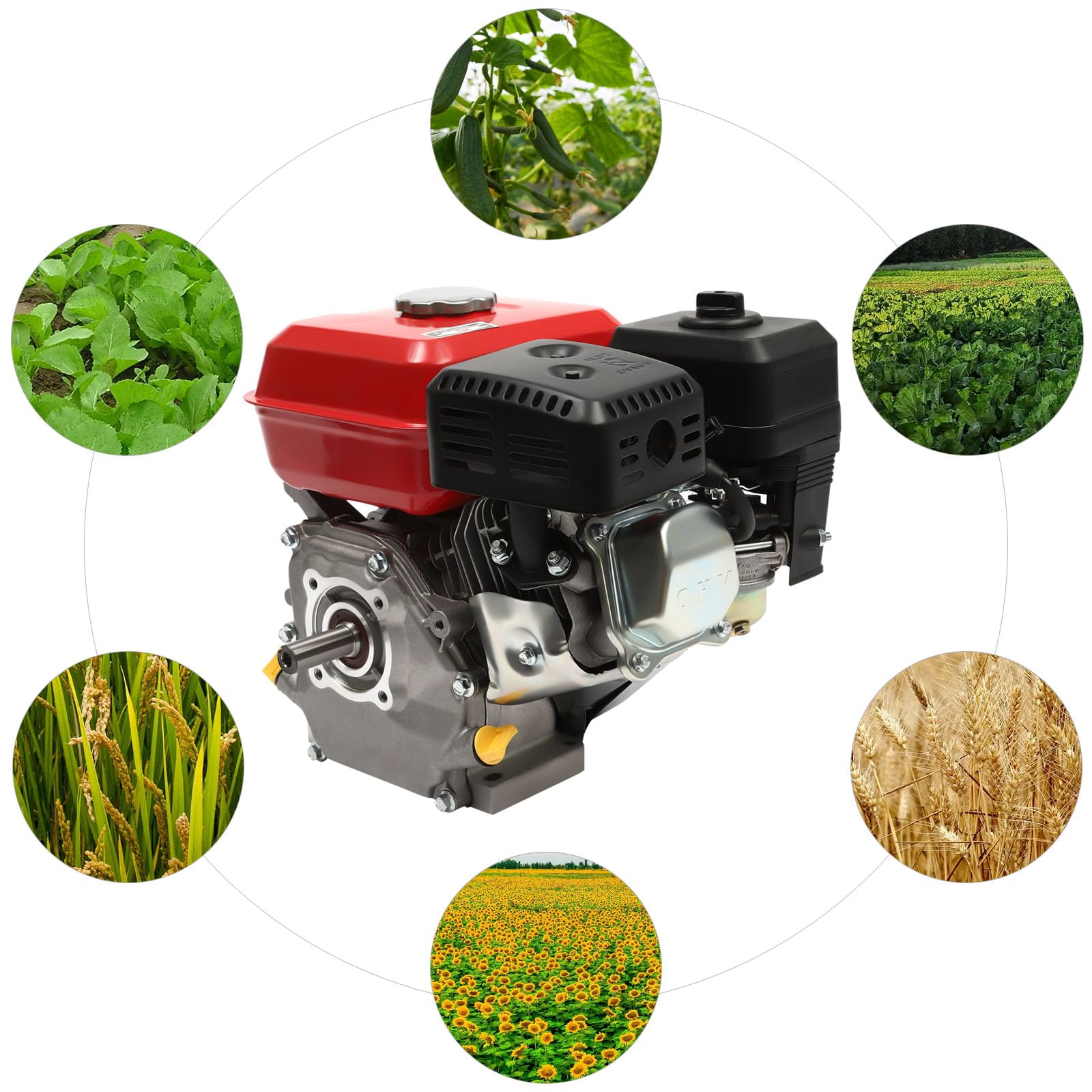 7.5 HP, motore a benzina a 4 tempi, motore a terra a basso rumore, 4 kW, raffreddamento ad aria, 3600 rpm, pompa motore, generatori, motore a gas, motore a benzina con valvola sopra testa per