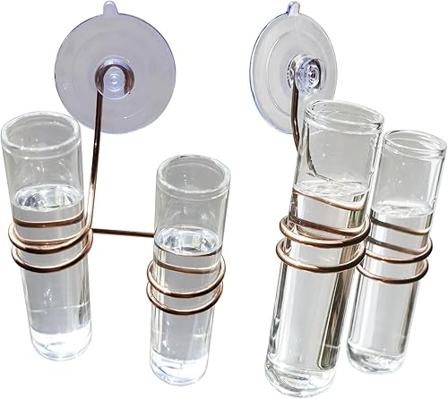 Miniatura 4 de Tubo de ensayo de vidrio para colgar en la ventana, contenedor de plantas para decoración de jardín de oficina en casa, con ventosas, 2