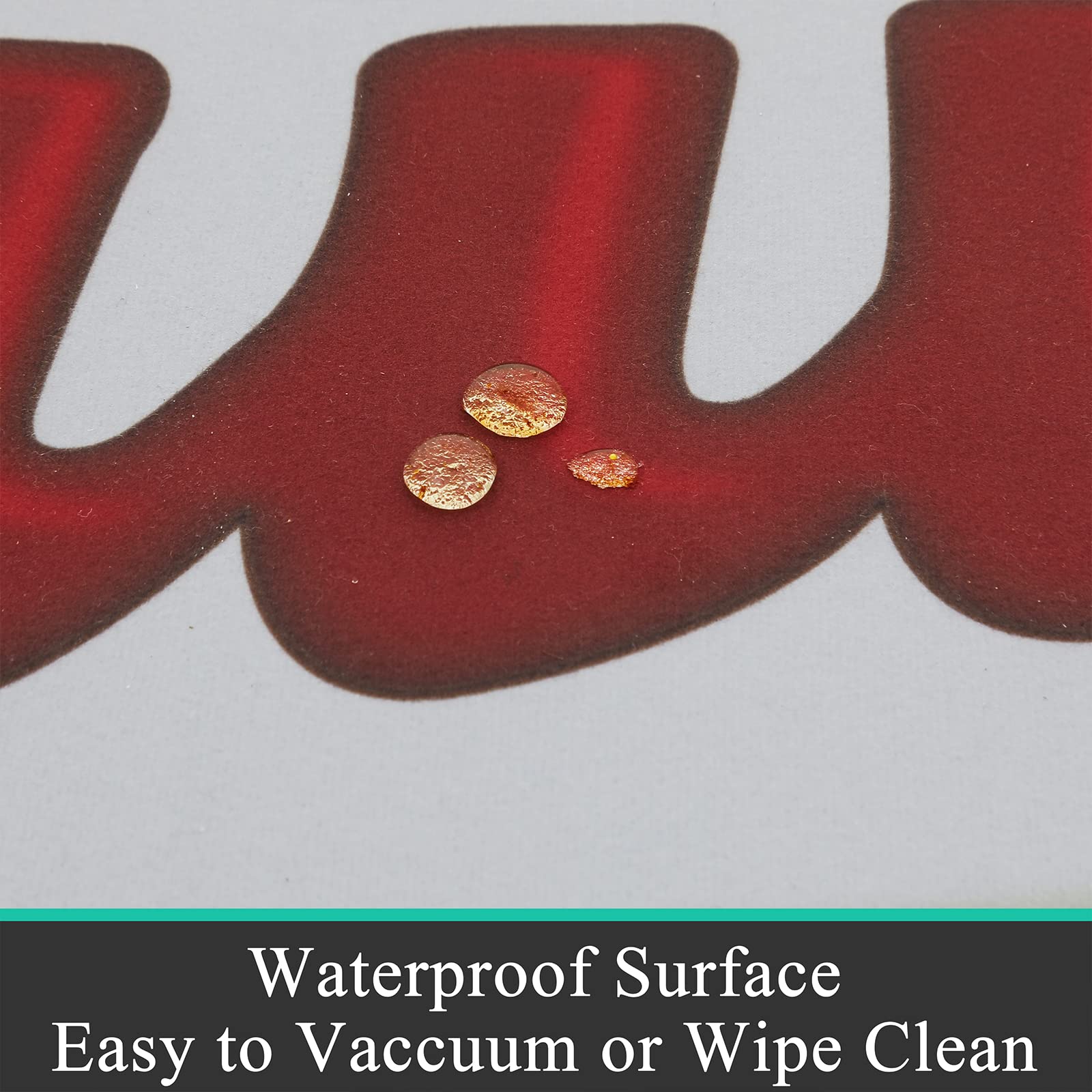 Pauwer Farmhouse Laundry Room Rug Runner 20"X48" Kitchen Rugs Non Slip Washable Entryway Hallway Runner Rug Waterproof Laundry Mat Area Rug Carpet Runner