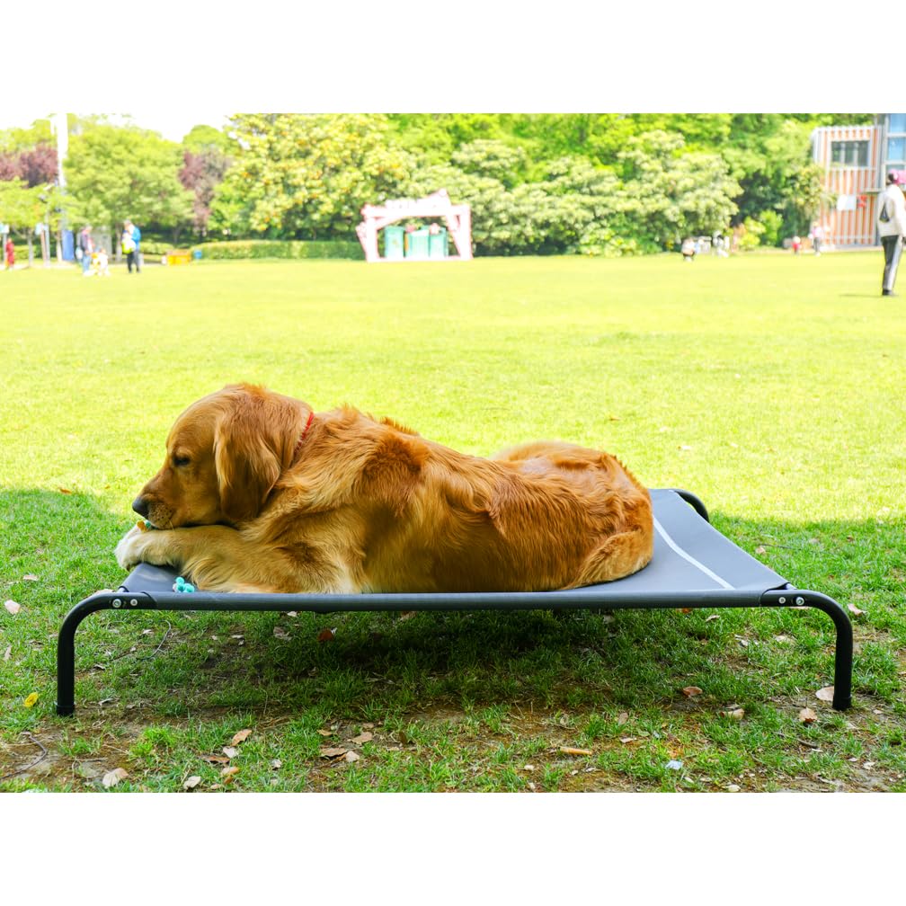 Erhöhtes Hundebett Mit Nackenrolle – Kühlend, Waschbar, Für Drinnen & Draußen