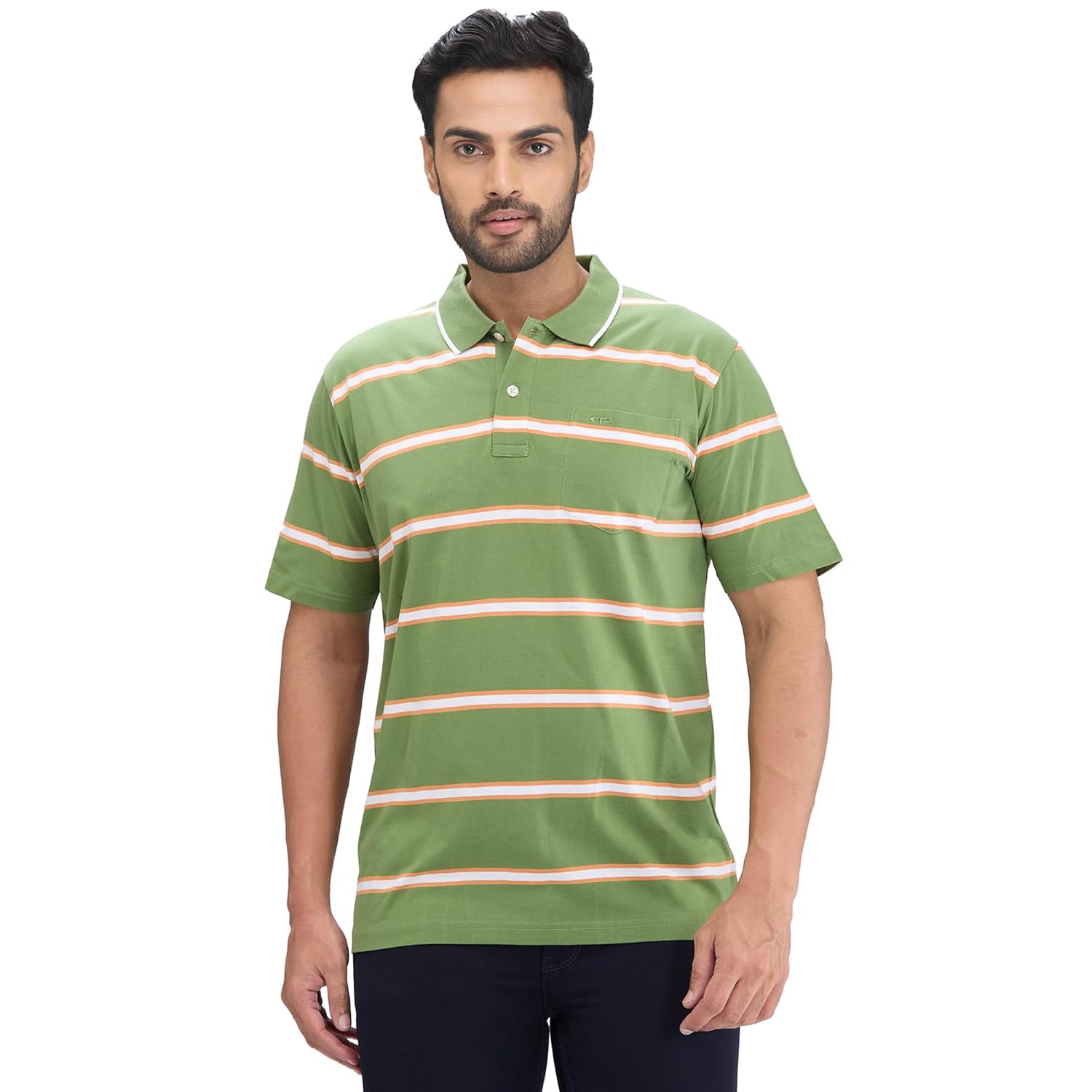Colorplus Men Comfort Fit Stripe Pattern Pure Cotton Half Sleeve Normal Neck Casual T-Shirt