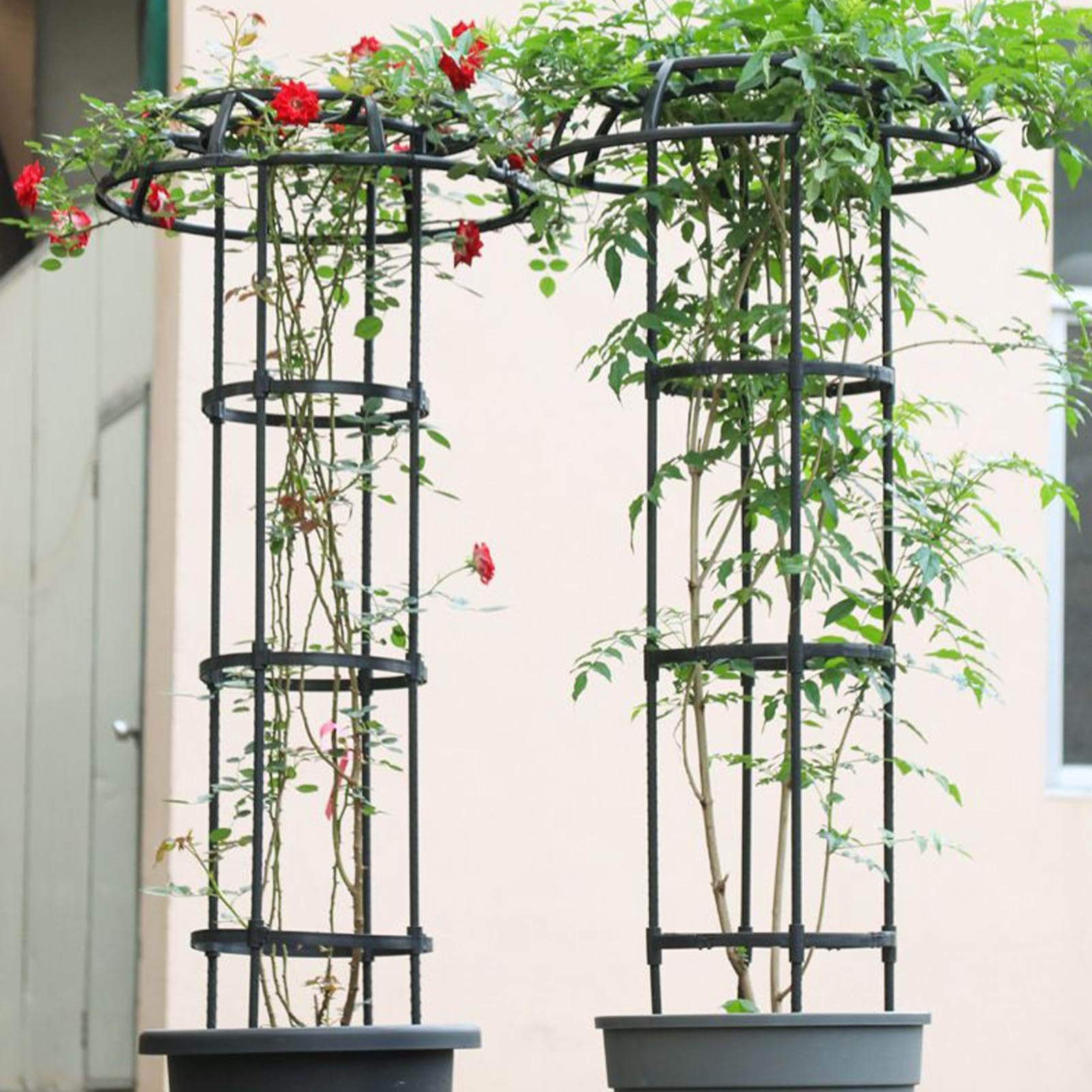 Treillis De Jardin Pour Grimpantes Résistant au Vent et Antirouille