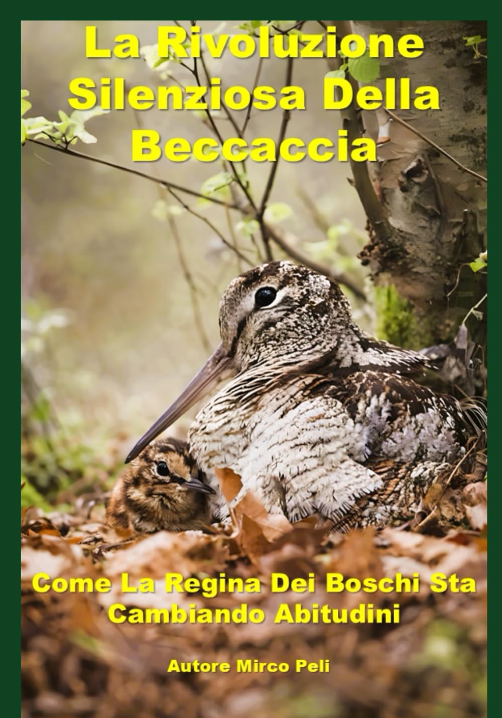 LA RIVOLUZIONE SILENZIOSA DELLA BECCACCIA: Come La Regina Dei Boschi Sta Cambiando Abitudini (La caccia vera)