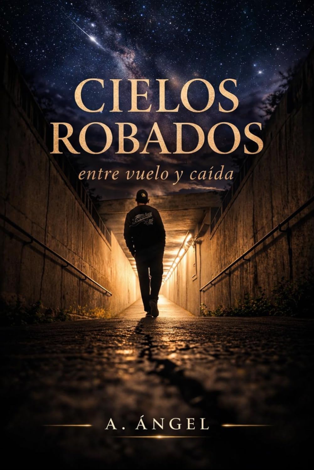 CIELOS ROBADOS: entre vuelo y caída