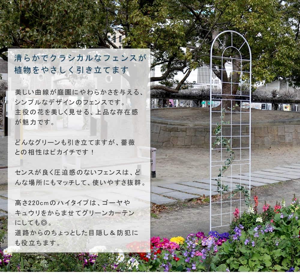 Amazon Co Jp クラシック フェンス アイアンフェンス ガーデンフェンス 幅50cm 高さ2cm 上下分割式 グリーンフェンス グリーンカーテン イングリッシュガーデン 庭 ベランダ ガーデニング 枠 柵 園芸 仕切 目隠し 境目 おしゃれ シンプル 北欧 英国風 薔薇 簡単設置