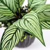 Product Photo 3