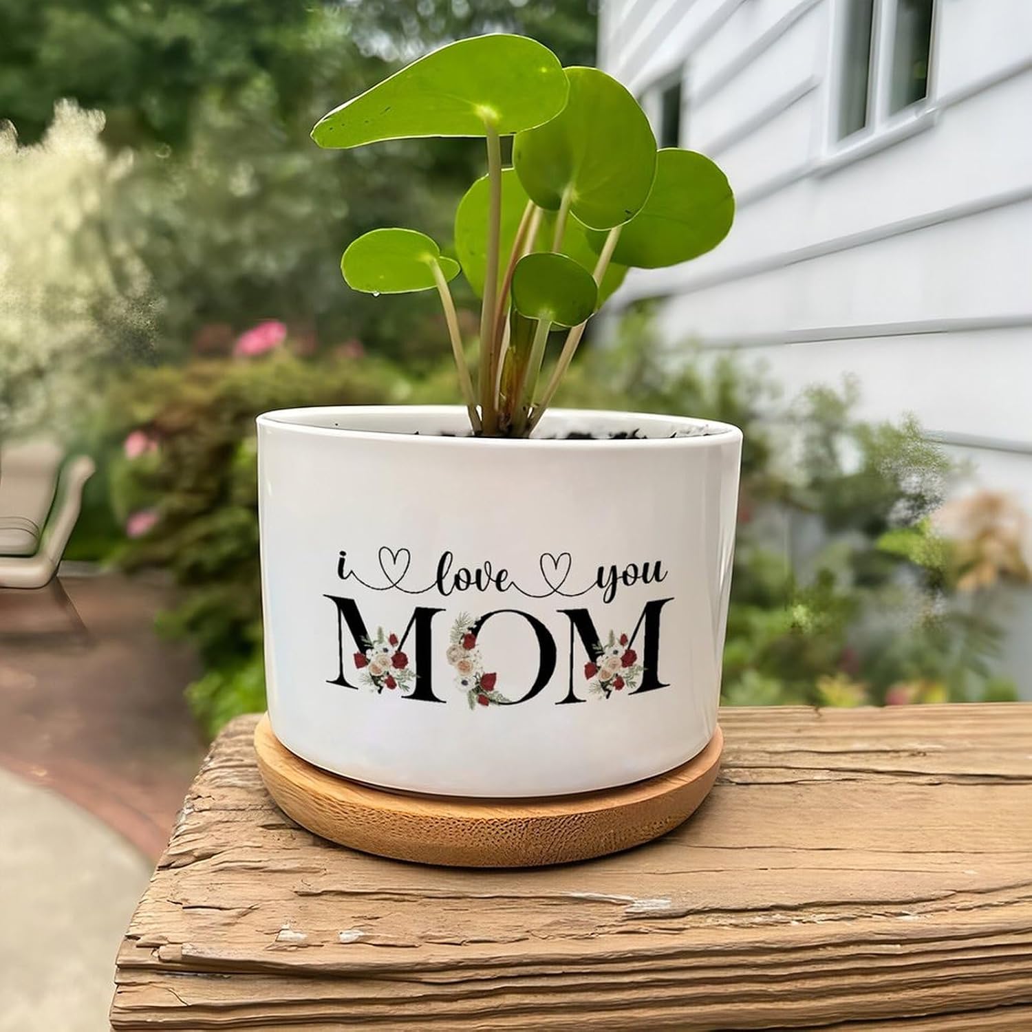 Ceramic Succulent Pot Plant Mother Flowers Wreath Indoor Ceramic Planter Set of 3 Unique Birthday Mothers Day Planters Ceramic for Coworkers with Drainage Tray Kitchen Decor