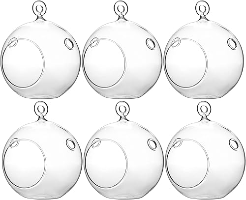 WGV Globo de terrario colgante, ancho 4 pulgadas, altura 4.75 pulgadas, maceta de aire para suculentas, florero de vidrio transparente con parte