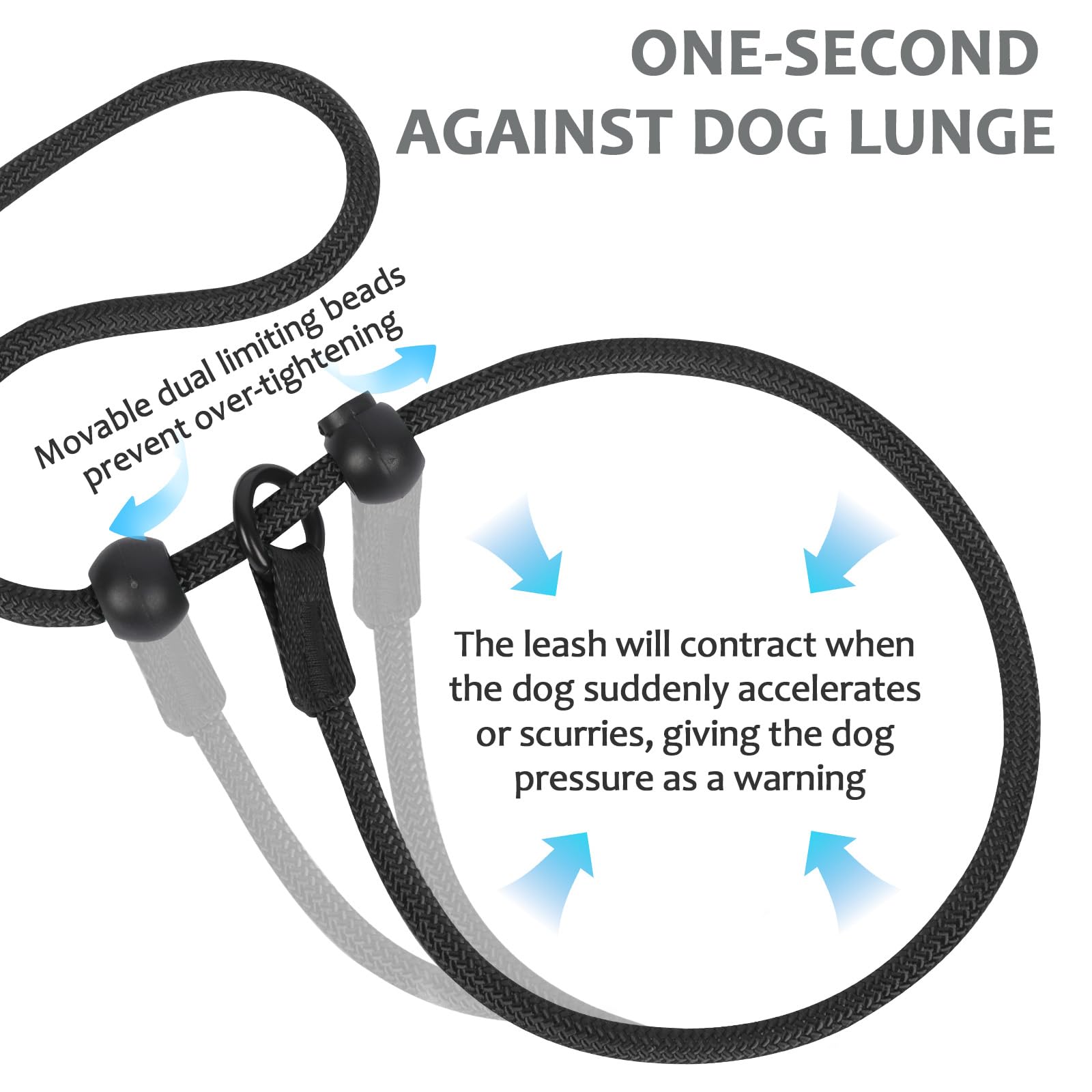 Slip Lead for Dogs Dog Slip Collar Anti-Choking, Double Handle Dog Lead with Soft Foam Padded & Climbing-Grade Nylon Rope - Image 3