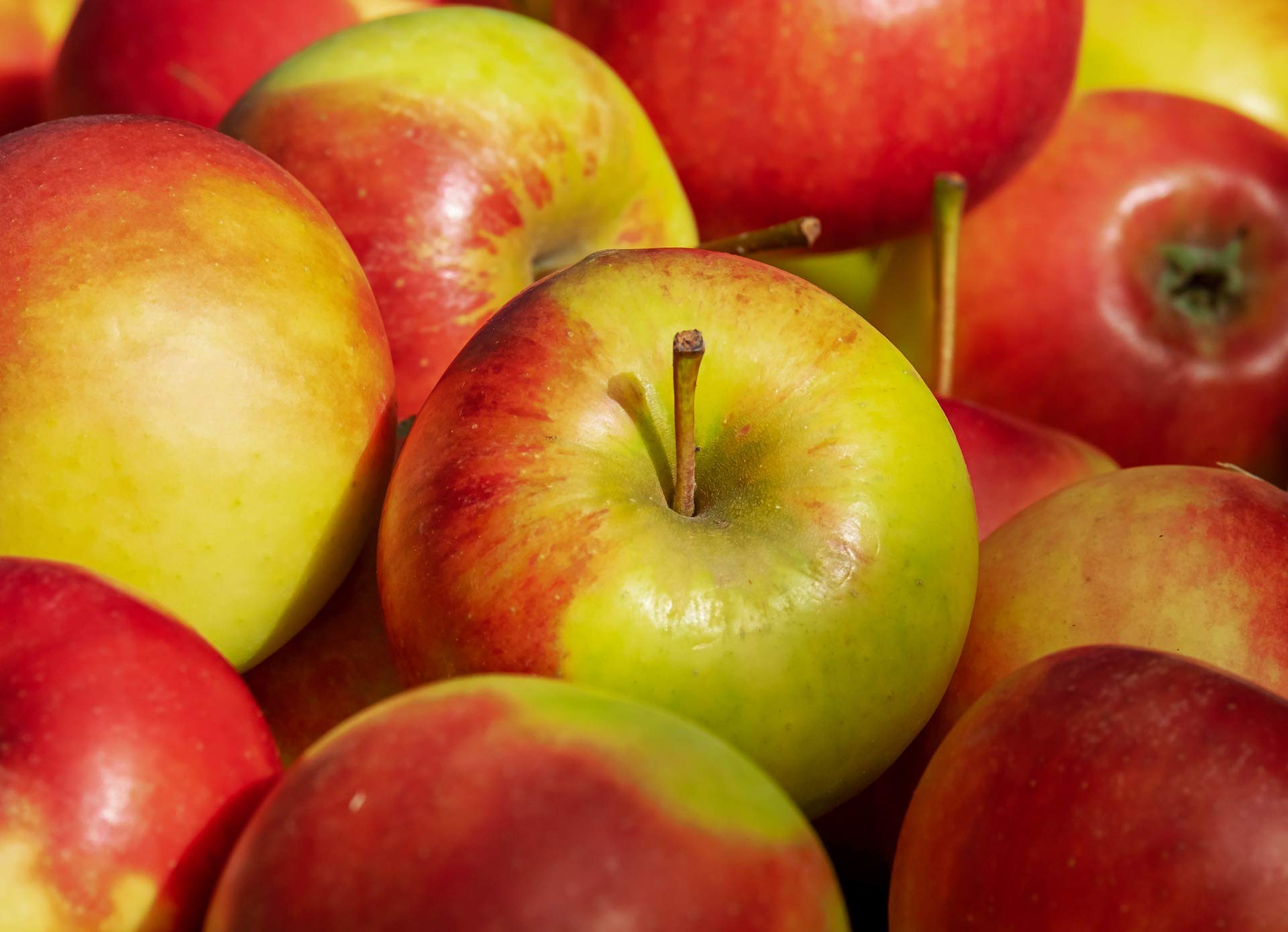 Elstar Äpfel aus Neue Ernte Deutschland, 10 kg Kiste
