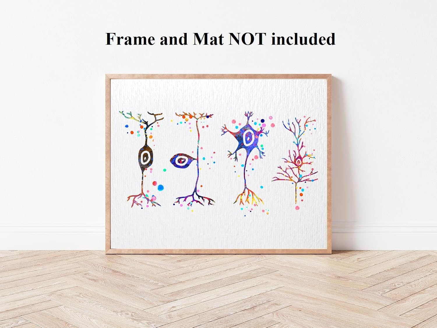 Dignovel Studios 11X14 Unframed Neuron Types Science Neurology Medical Brain Neuroscience Neurologist Office Clinic Watercolor Art Print Poster Wall Nursery Kids Office Home Decor DN580