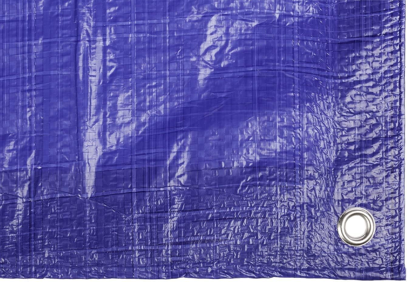 Toldo Reforzado Lona Impermeable Exterior (Azul, 5 x 8 m)