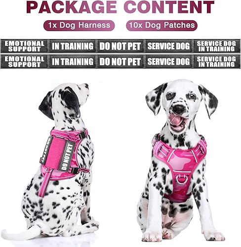 Miniatura 53 de WINSEE Arnés táctico para perro, arnés sin tirones para perros medianos y grandes con asa y Molle, arnés de servicio militar para perros pequeños