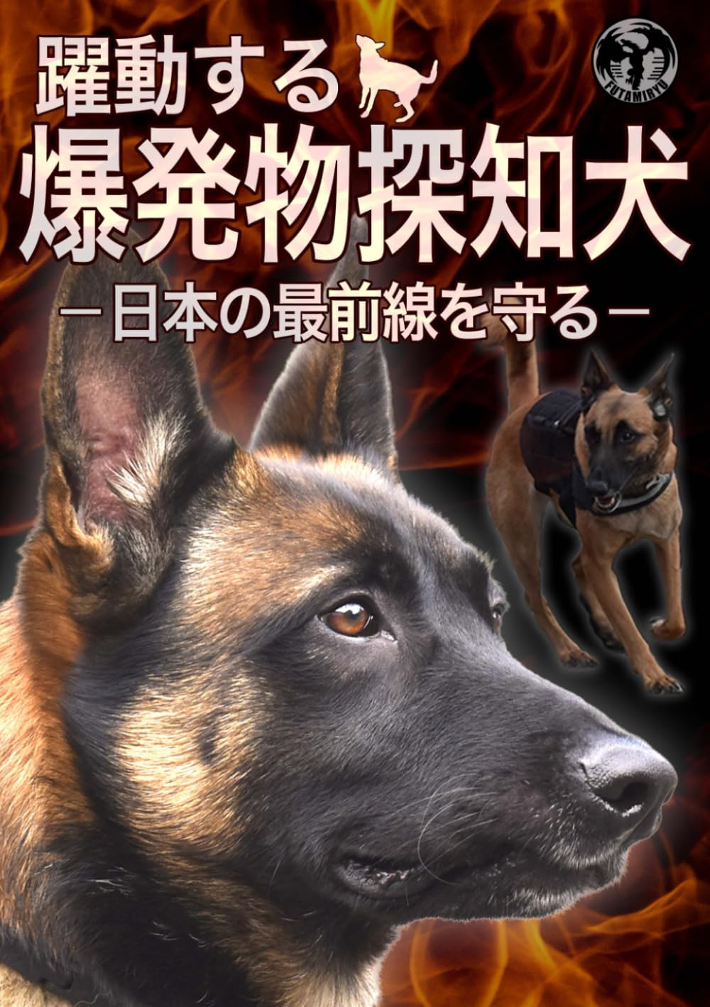 【新品】現在、過去、未来を見張っている守護力の強い番犬(太極石)3-2 IDC® Stealth® Powerharness (IDC®ステルスパワーハーネス) Size0～3