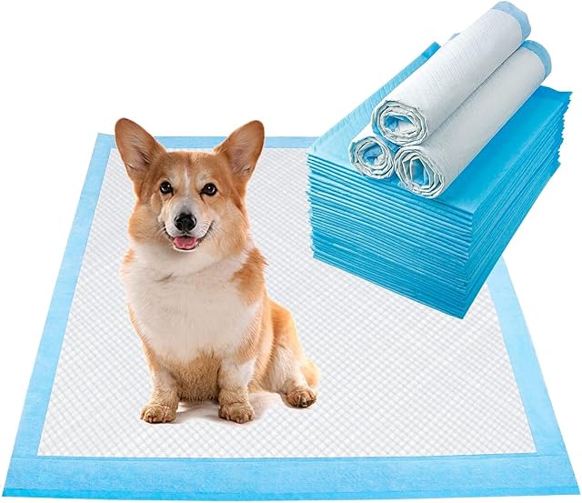 LONENESSL Pet Training Pads Leak-Proof and Super Absorbent Dog Pee Pads Disposable Fast Drying Pee Mats for Dogs Cats Rabbits Pets (60 * 60CM 10pcs)