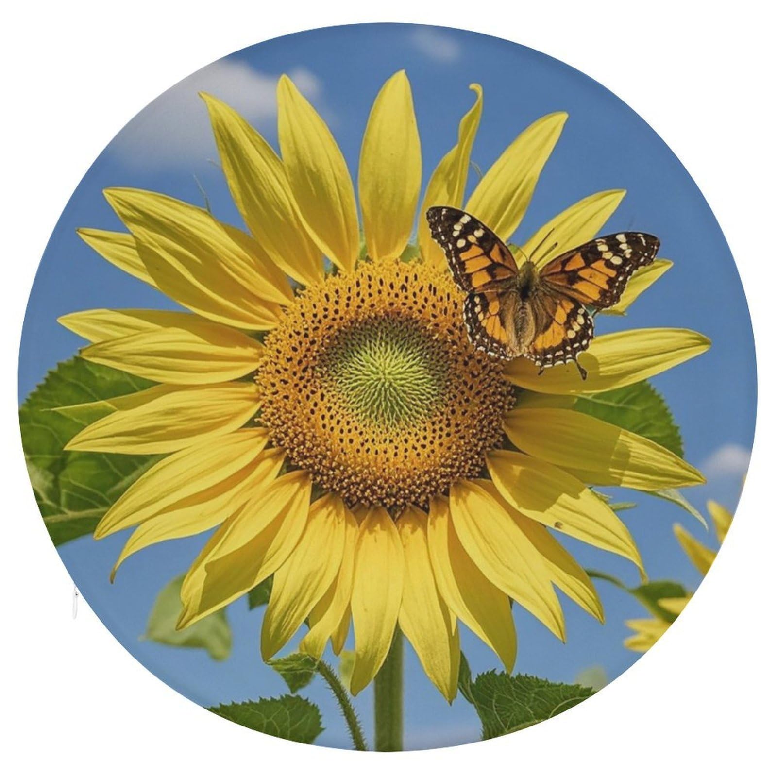 LZQPOEAS Sunflower and Butterfly Swivel Seat Cushion with Supportive Memory Foam Comfort Round Bar Stool Cushion 15.3" Diameter Rotating Seat Cushions Fashion Chair Pad for Car Office Home