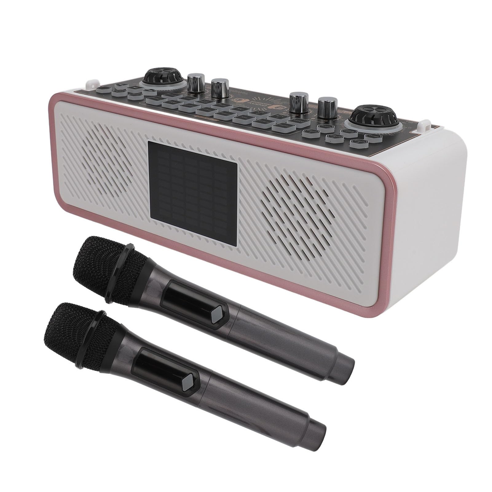 Kit Scheda Audio, Set di Altoparlanti per Microfono Wireless con Doppio Microfono per Telefono