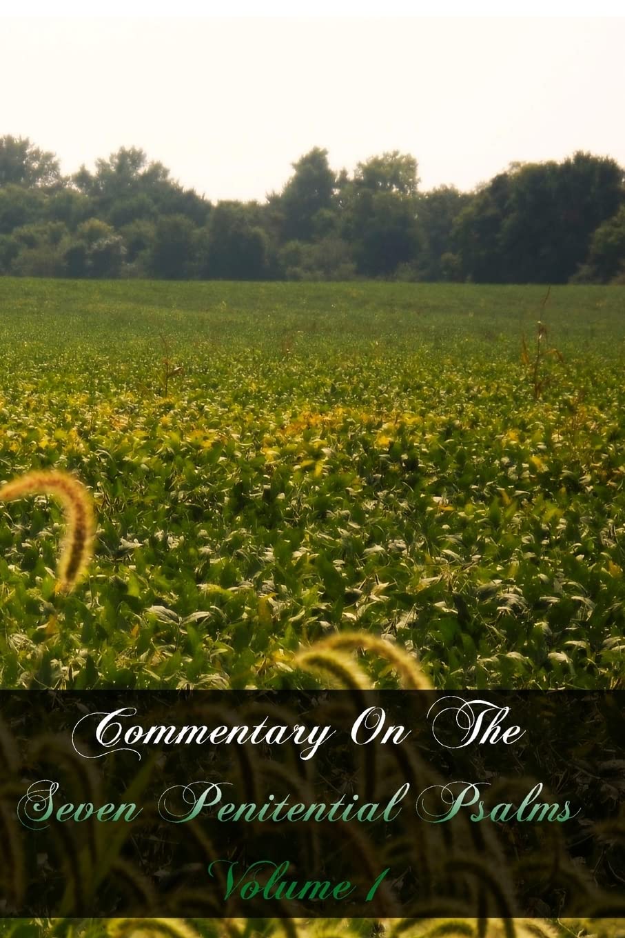 Commentary On The Seven Penitential Psalms: Volume 1