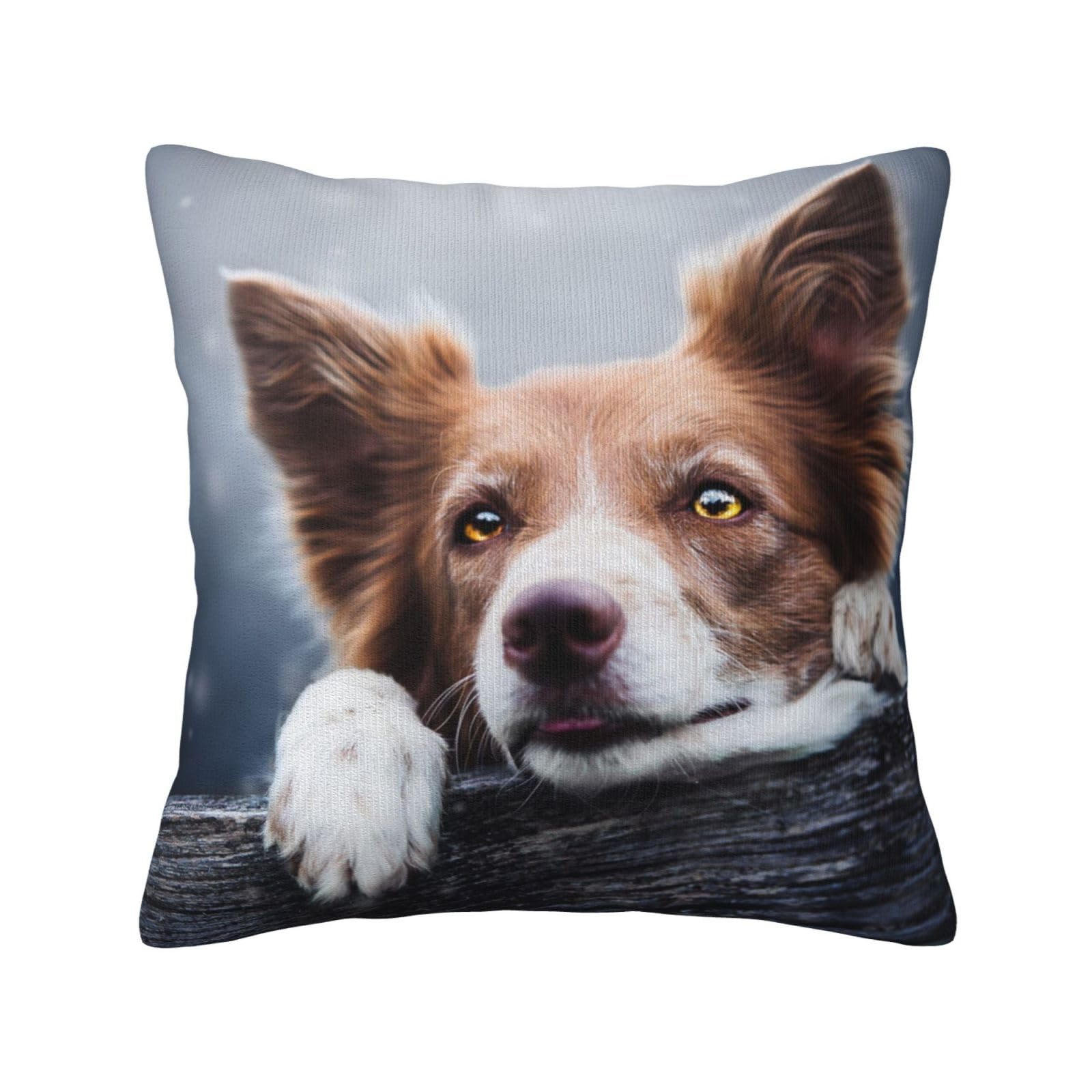 Brown Border Collie Bokeh God With Yellow Eyes, Pillow Cover Decorative Throw Pillowcase Soft Polyester Cushion Covers 45x45 cm